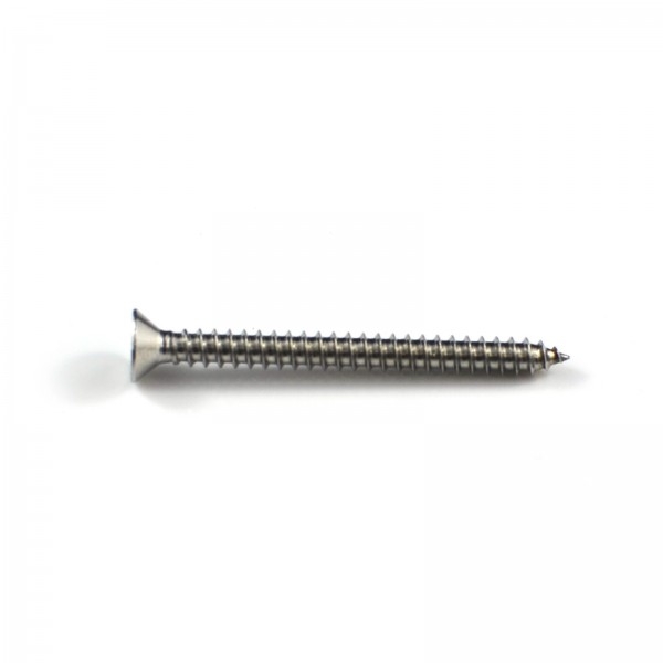 Self Tapping Screw 6G x 1.5