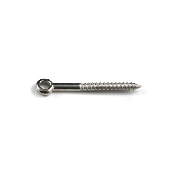Lag Eye Screw M6 x 40mm Stainless Steel 316